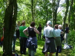 Yoga in Trees