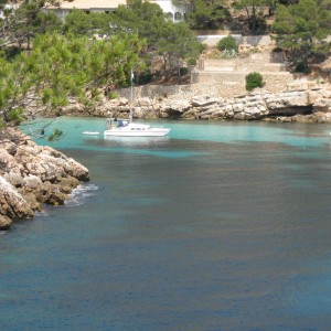 Our own lovely cala