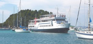 Ferry weaving between yachts