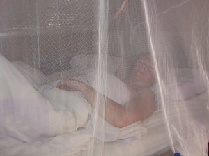 Sue in bed behind mosquito net