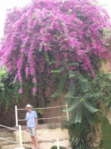Bill in Corfu