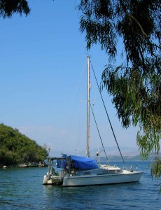 Nine Lives at Kouloura