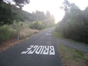 Road by campsite