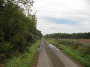 Deserted road